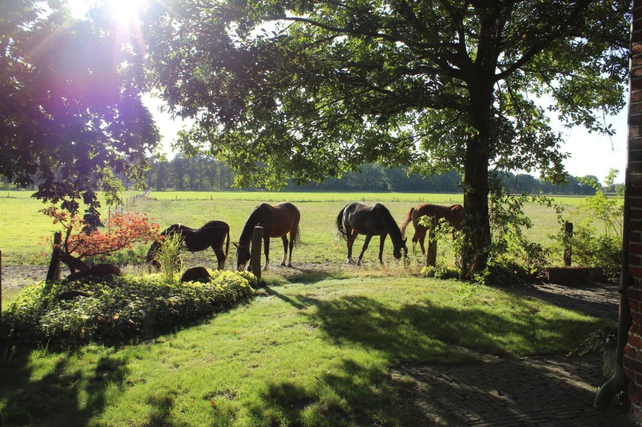 Ferienhaus Auf Gut Sautmannshausen Haselunne Luaran gambar